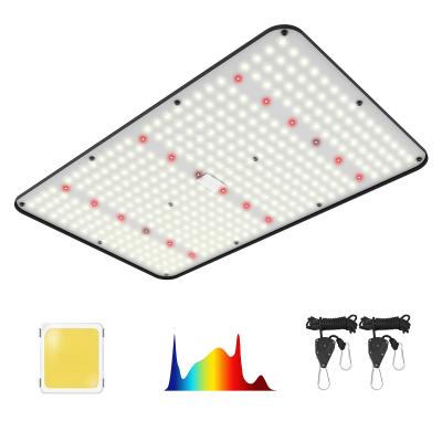 China New Release Full Spectrum Quantum Board Plant Led Grow Light For Indoor for sale