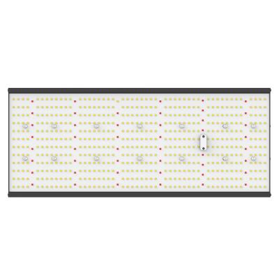 Chine Aluminum Black LED Grow Light With 576 White LEDs And 46 Deep Red LEDs à vendre