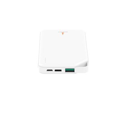 China 10000mAh Mobile Power Bank Dual-USB Backup Battery Charger for Smartphone for sale