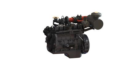 China Water Cooling 5.9L Lpg Gas Engine 600Kg Biogas Generator Set for sale