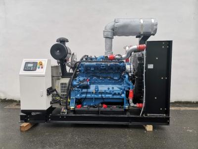 China LPG 100kw Natural Gas Generator 625 Kva AC Synchronous Alternator for sale