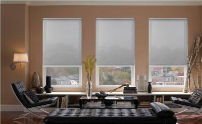 China Anti UV White Roll Down Blinds , Blackout Roller Blinds Bunnings Dustproof for sale