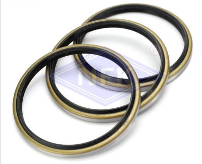 China High - Temperature Rubber NBR Dust Seal DKB Diameter d20-300mm OEM for sale