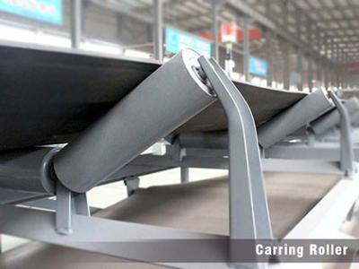 China Low Rotate Resistance Labyrinth Seal Conveyor Component for sale