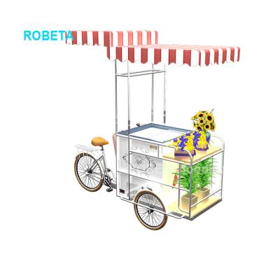 China Heat Resistant And Low Noises Mobile Ice Cream Stand Bicycle Buffet Container Food Stall Caravan Carritos De Comida En Venta De Mobil Stainless Steel Car Buffet for sale