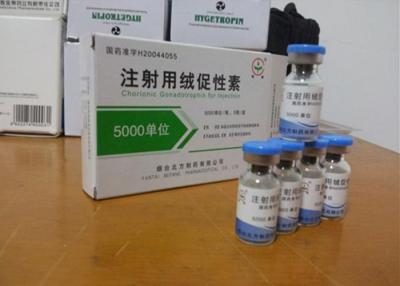 Cina Iniezione umana della gonadotropina corionica di HCG per perdita di peso/body building in vendita