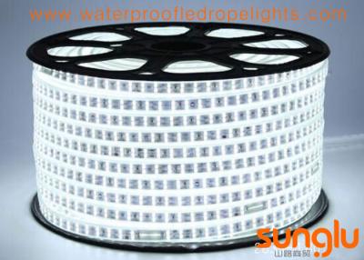 China Cool White Waterproof LED Rope Lights Double Lines AC220V For Shopping Mall for sale