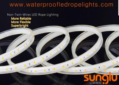 China Ani - UV IP65 Waterproof LED Rope Lights For Amusement Park And Theater for sale