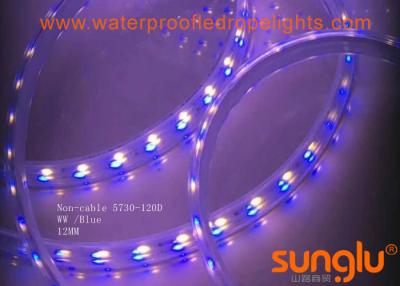 China Blue And White 5730 Waterproof Double Row LED Strip Light / 10MM LED Tape Light for sale