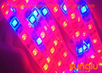 China FPC 4 Red 1 Blue LED Strip Plant Lighting / 300D LED Grow Strip Lights for sale