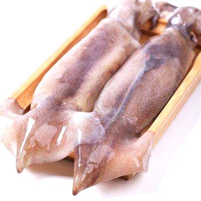 China High Quality Whole 30% Whole Squid Shandong Ocean Village Nutritious New Food Season Stuffed Glaze for sale