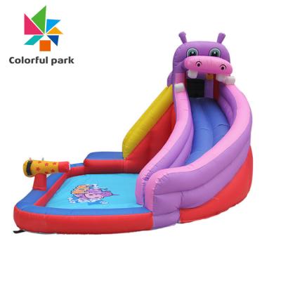 China Colorful Inflatable Water Slides and Pool for Park Bouncer CE/TUV/ISO9001 2008 Certified for sale