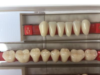 Chine Les dents composées de dentier de résine de fausses dents de résine complètent dur 3 couches à vendre