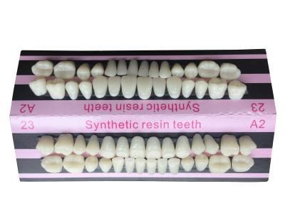 China Repair Dental Acrylic Resin Teeth Material In Dentistry Single Layer for sale