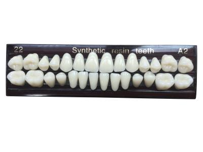 China Material Dental Acrylic Resin Teeth Tooth Colored Acrylic Resin Teeth For Dentures for sale
