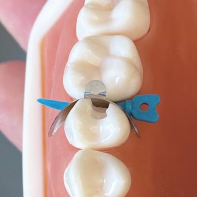 China Las matrices y las cuñas dentales Tulwar plástico del sistema seccional dental de la matriz de la odontología acuñan W5 1,0 en venta