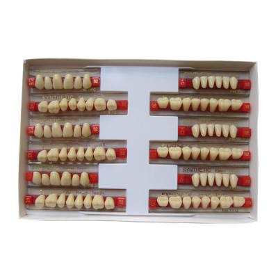 China 3 Layers Acrylic Resin Composite Teeth Denture Standard Size VITA Shade for sale