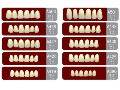 China VITA System False Dental Teeth with Heraeus Teeth Form 1 Easy to Use à venda
