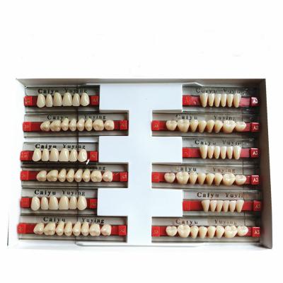 China Heraeus Dental Acrylic Resin Teeth High Stain Resistance Durability zu verkaufen
