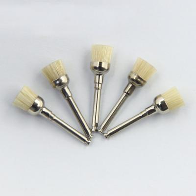 China Effective Polishing Teeth with Oral Health Cup Shape Prophy Brush Hard Bristles Latch Style for sale