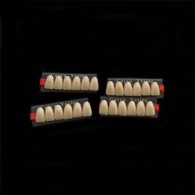 中国 Stain Resistance Dental Artificial Teeth Acrylic Resin Incisor 2x1 Manufacturer CE ISO Composite Dentadura 販売のため