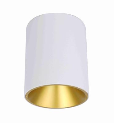China 15W DALI dimmable hotel hotel lobby Anti glare Round led surface mounted downlight gold reflective cup COB downlight for sale