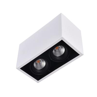 China twin 2x10W surface mounted LED grille light custom made suspension wire type switch /Triac dimmable  square downlight for sale
