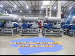DN200 Roots Type Vacuum Pump suction pressure 40KPA for chemical industry blower