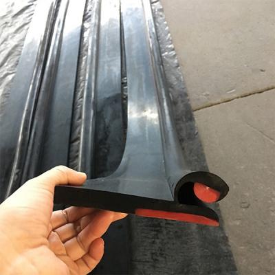 China Pu Rubber Dual Seal Skirt Board Double Lips Conveyor Belt Sealing for sale