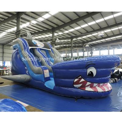 China Professional supplier giant shark inflatable water slide jumping water slide for adult en venta