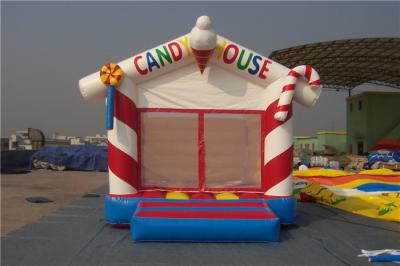 China Leões-de-chácara infláveis exteriores de salto infláveis pequenos profissionais do castelo para clubes à venda