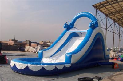 China Huge Dolphin Large Inflatable Slide Fire Resistance For Adults And Kids for sale