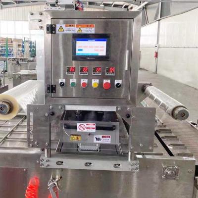 China Lineare Vakuumdichtmaschine mit OEM/ODM akzeptabel zu verkaufen