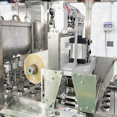 Chine Machine automatique de scellage de boissons 90-100 mm Taille de tasse 900 kg Poids à vendre