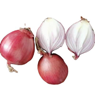 中国 Fresh Chinese cheap fresh onion red onions export the best new crop quality onions 販売のため