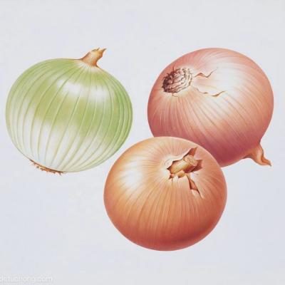China Fresh pearl onions/fresh onions grow 2019/yellow onion for sale