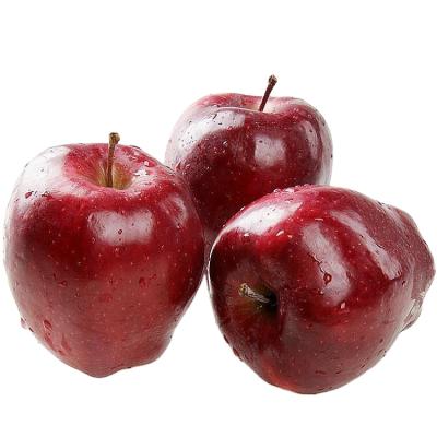 China Fresh red delicious apple for wholesale and hot red delicious apple export to Dubai market for sale