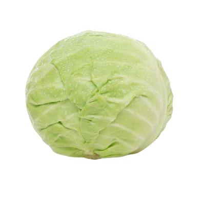 Chine Good quality organic fresh cabbage from organic food in the market at low price, cabbage price per ton à vendre