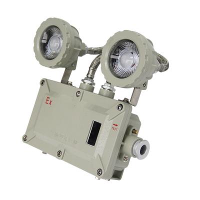 Cina Explosion Proof Exit Emergency Lights equipment IP66 Life Span >50000H class 1 div 2 in vendita