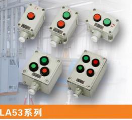 Chine Contrôle anti-déflagrant Button10A 220V/380V de torsion anti-déflagrante du commutateur deux à vendre