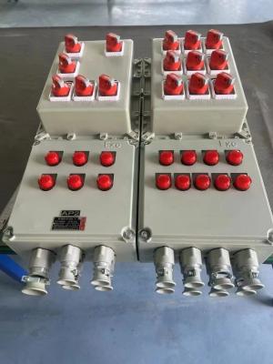 China Iibt4 Exd Ip66 Explosion Proof Junction Box Control  Panel Distribution for sale
