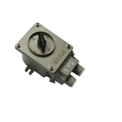 China Cable Spec 9mm-13mm Explosion Proof Switch Mounting Type Surface Mount Ex Db IIC T6 Gb à venda
