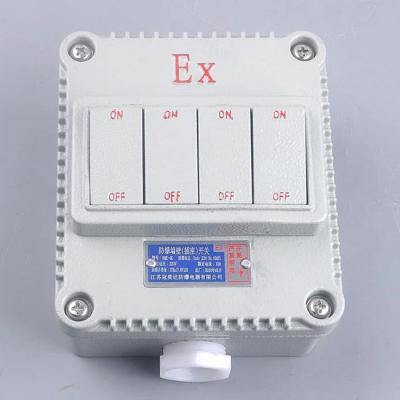 中国 Flame-Proof Selector Cable Entry G3/4'' and IP Rating IP65 for Hazardous Environments 販売のため