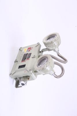 Cina Zona 1/Zona 2 Illuminazione d'emergenza a prova di esplosione. in vendita