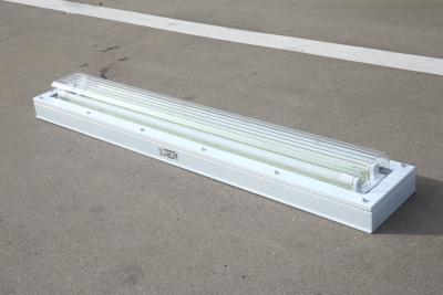 China Explosion Proof Fluorescent Tube Light | ATEX/IECEx Approved | IP66 Anti-Blast Fixture for Oil, Gas & Chemical Zones for sale