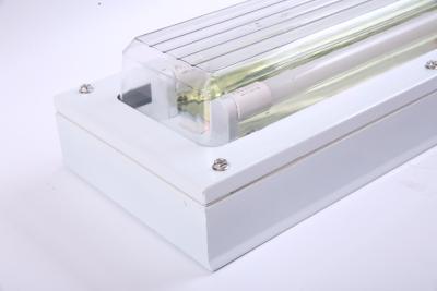 China Explosion Proof Fluorescent Tube Light | ATEX/IECEx Approved | IP66 Anti-Blast Fixture for Oil, Gas & Chemical Zones for sale