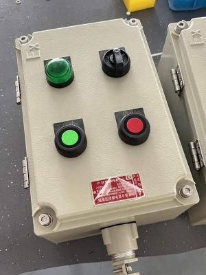 China Explosion Proof Breaker Control Panel Cabinet 380V Flameproof Electrical Enclosure for sale