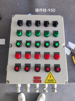 China EX Mark II 2 G Ex Db Eb IIC T6 Gb /II 2 D Ex Tb IIIC T80°C Db IP66 Box Panel Explosion Proof for Hazardous Zone 1 2 21 22 for sale
