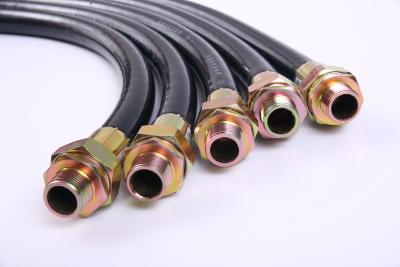 China Waterproof Explosion Proof Flexible Conduit G2 Complete Connector Types for Hazardous Environments for sale