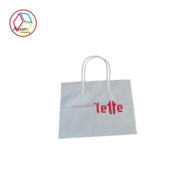 China Recycled Paper Shopping Bags CMYK Pantone Printing Twisted Handle for sale